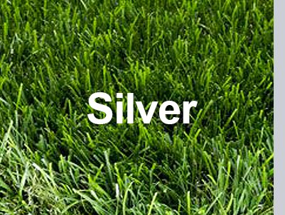 דשא סינטטי - סילבר Silver